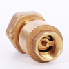 Brass spring check valve with swivel nut （NR-C002）