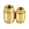 Brass Spring Check Valve NR-C001