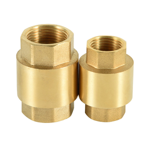 Brass Spring Check Valve NR-C001