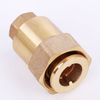Brass spring check valve with swivel nut （NR-C002）