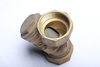 Brass Y Strainer NR-C006