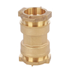 Brass compression adaptor for PE pipe NR-I006