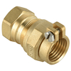  Brass female adaptor with pack joint nut NR-I010