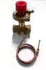 Brass Pressure Differential Regulator